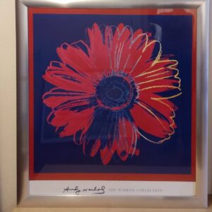 Repro DAISY van Andy Warhol